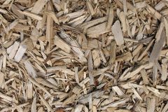 biomass boilers Pitfichie
